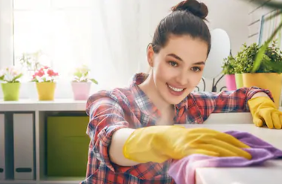 Cleaning Wipes